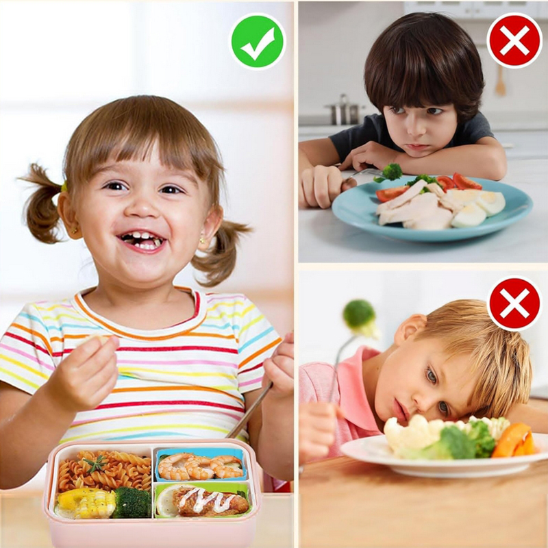 8 Stück Silikon-Lunchbox-Trenn – Bento Box Bewertung und Preis